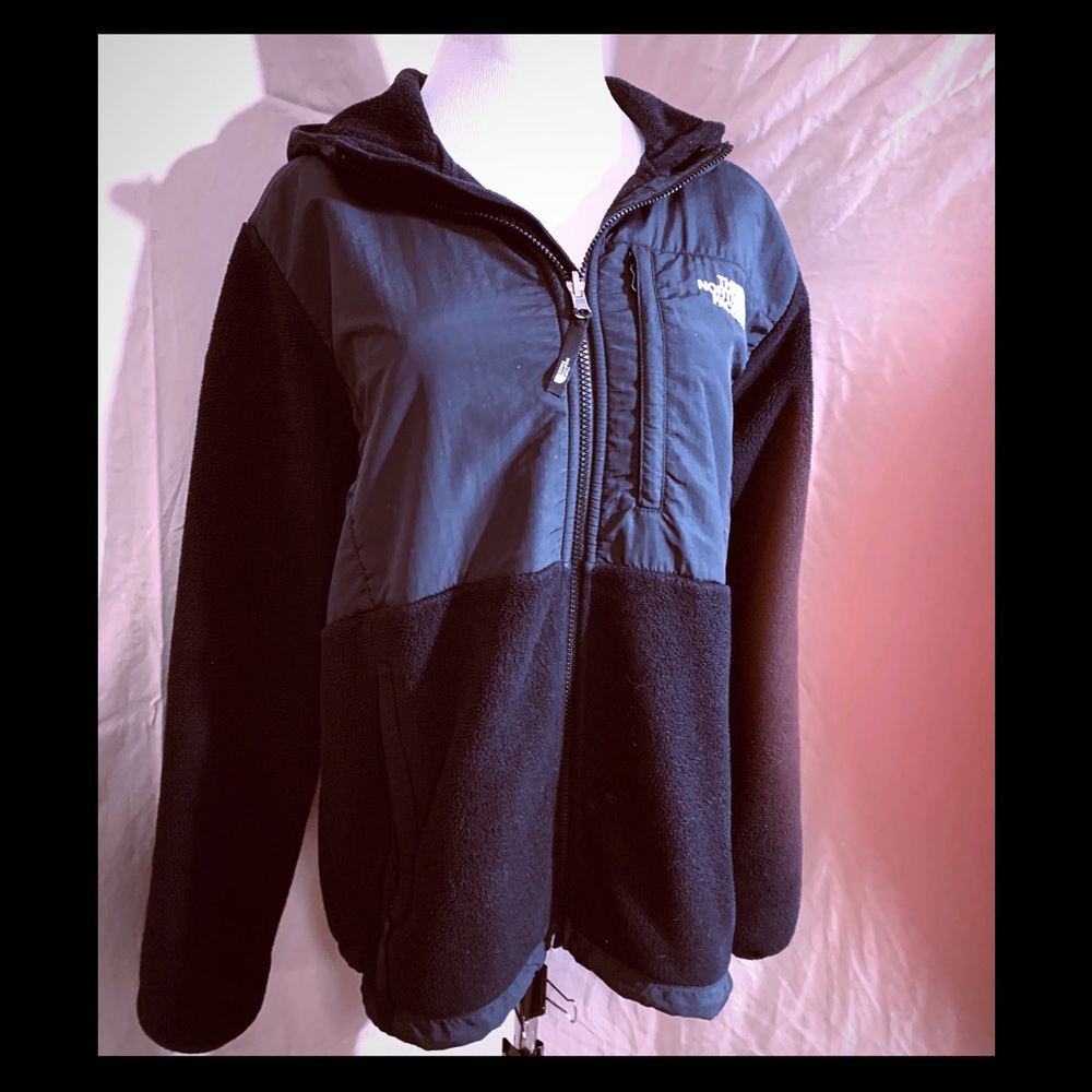 North Face Hooded Polortec Coat, SZ LG, MINT!!
